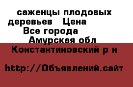 саженцы плодовых деревьев › Цена ­ 6 080 - Все города  »    . Амурская обл.,Константиновский р-н